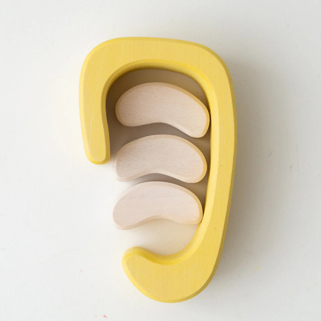 AVDAR Ant House Holzbausteine – 49-teilig