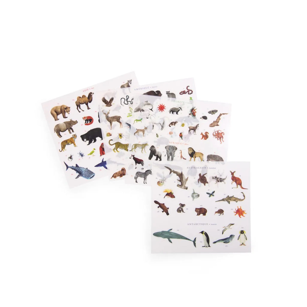 Moulin Roty Weltkarte mit Rubbelbildern – 107 Tiere entdecken