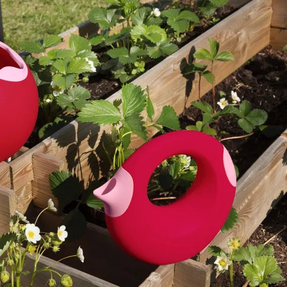 Quut Cana Wasserspielzeug – Innovativer 2-in-1 Wasserkannne für Kinder