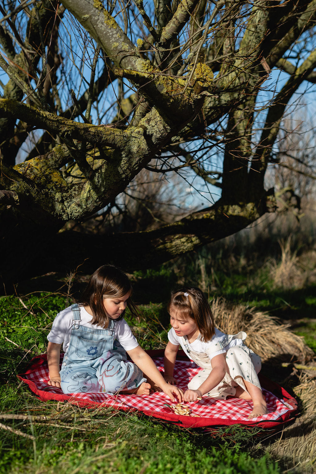 Play&Go Outdoor Picnic Spielmatte – Wasserdicht & Pflegeleicht
